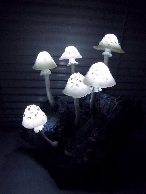 Mantar Gece Lambası™ Büyülü Mantar Gece Lambası